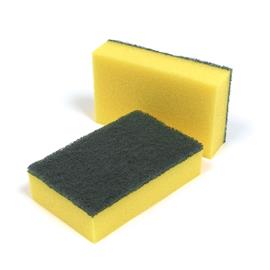 Sponge Scourer PACK 10