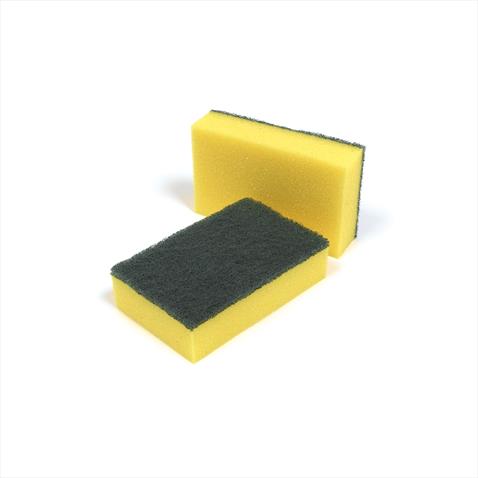 Sponge Scourer PACK 10